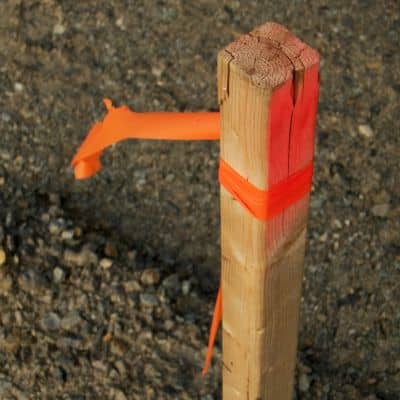 Property boundary stake with survey ribbon - ALTA SURVEY Maine Boundary stake marking a property line established by a licensed surveyor after storm damage