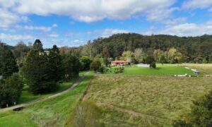 Aerial view of a large rural property with fields and woodland, relevant to licensed land surveyor services