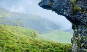 Significant exposed rock outcrop and uneven grassy terrain illustrating conditions relevant to topographic survey planning